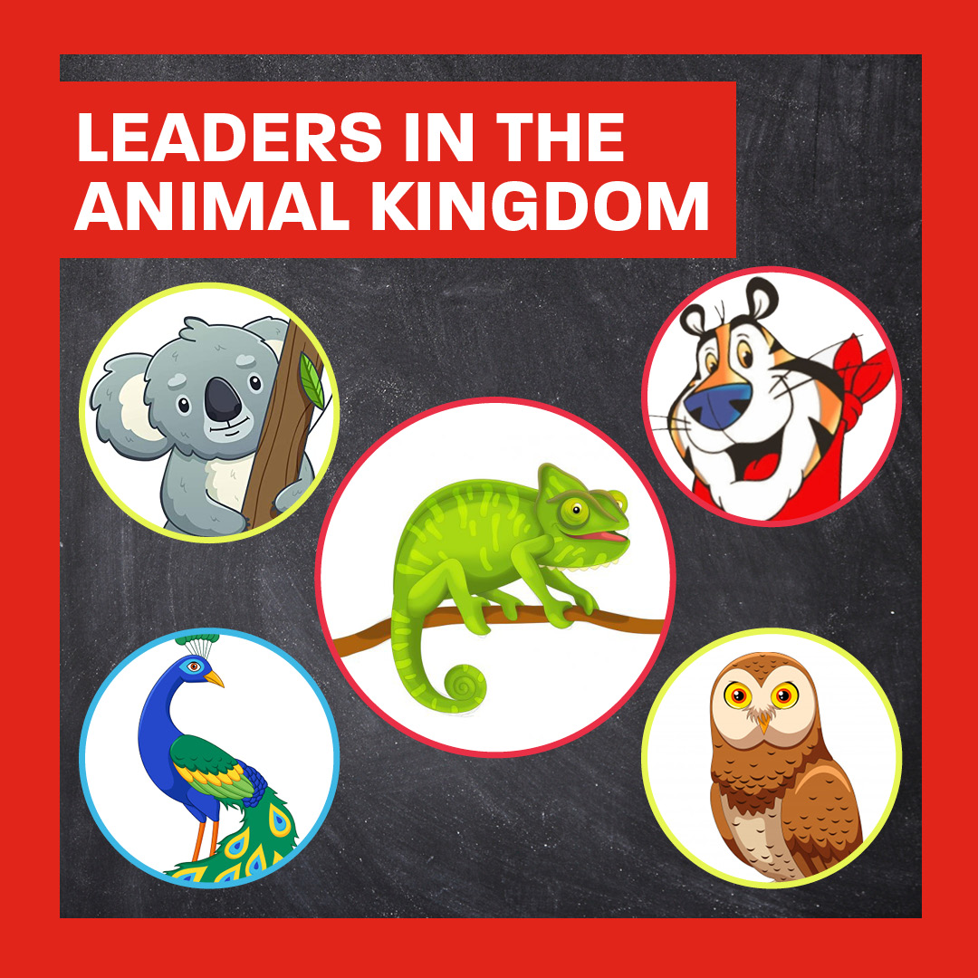 Leaders in the Animal Kingdom — Hy-Vee KidsFit